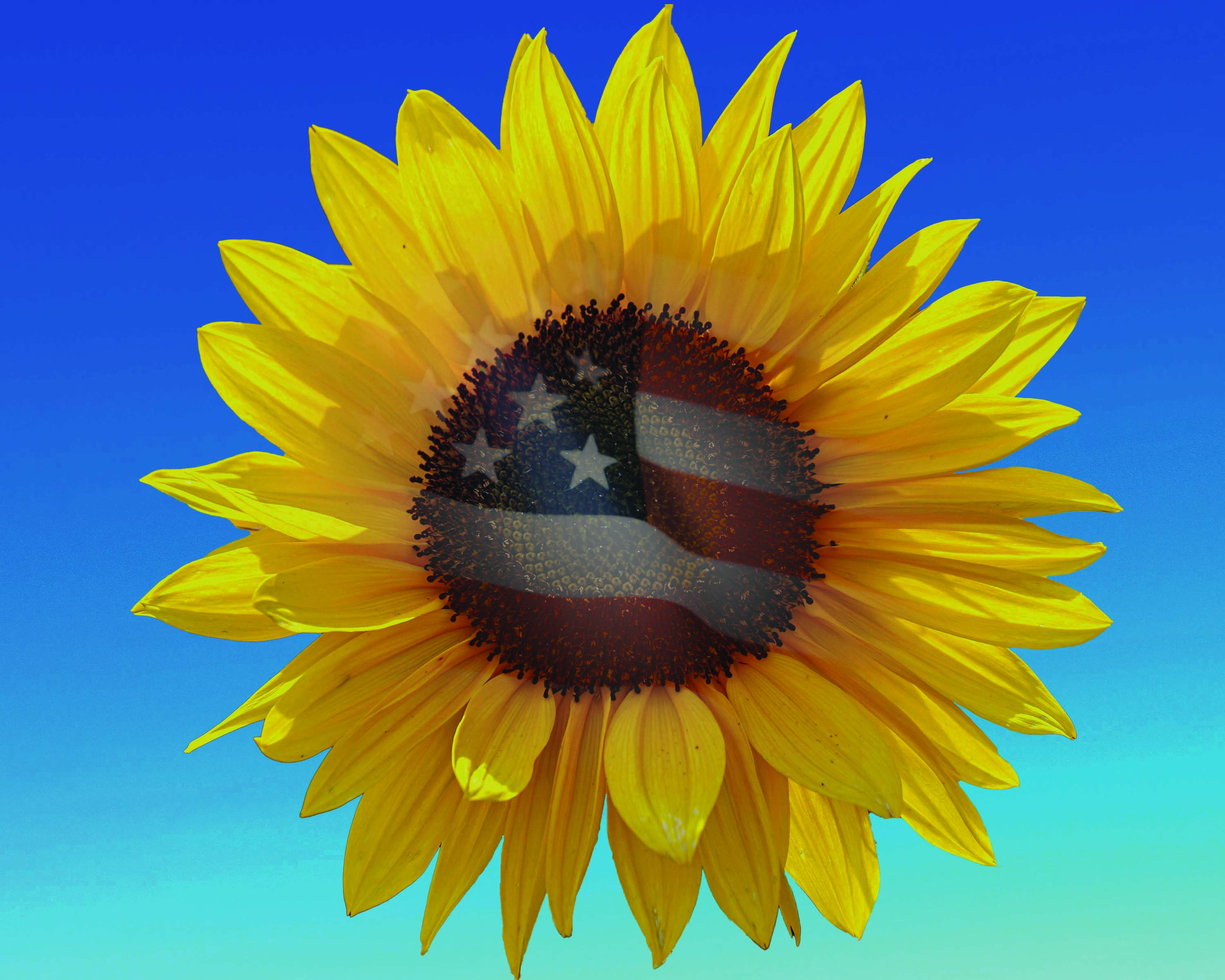 Double exposure portrait composite